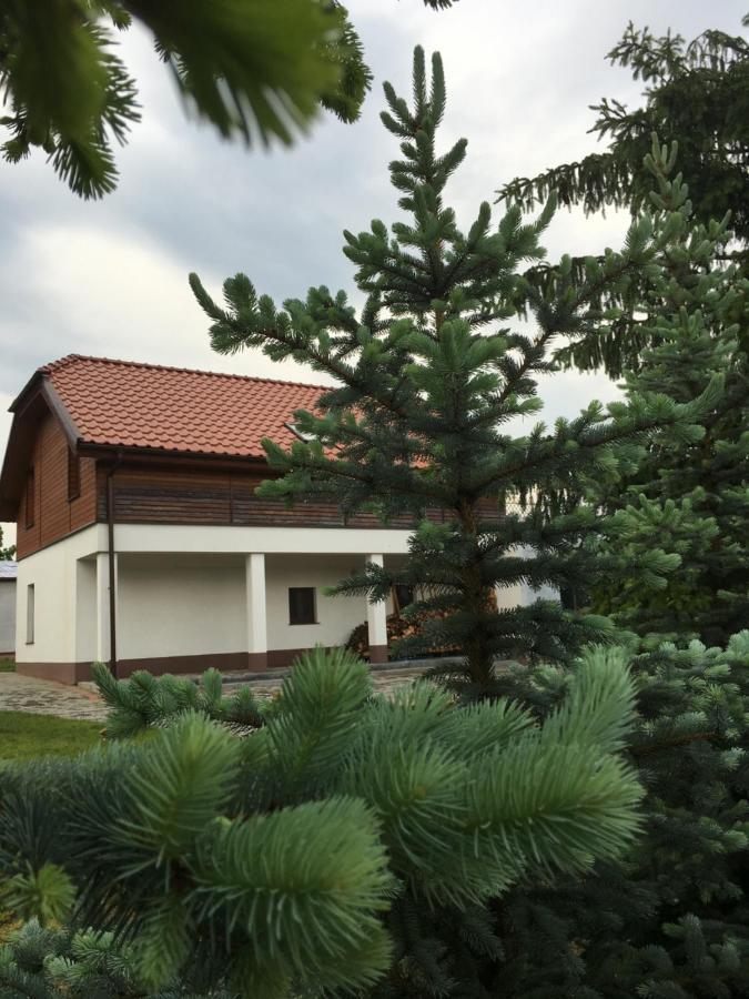 Pokoje Kasztanowa Wilkasy Exteriér fotografie